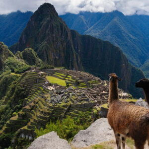 Iconic panoramic view of the ancient Inca city of Machu Picchu, with resident llamas grazing in the foreground and Huayna Picchu mountain rising behind, a breathtaking reward for those on the Short Inca Trail - Authentic Incan Adventures.