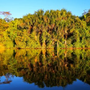 Tour Lago Sandoval y Reserva de Biosfera del Manu (3 días)