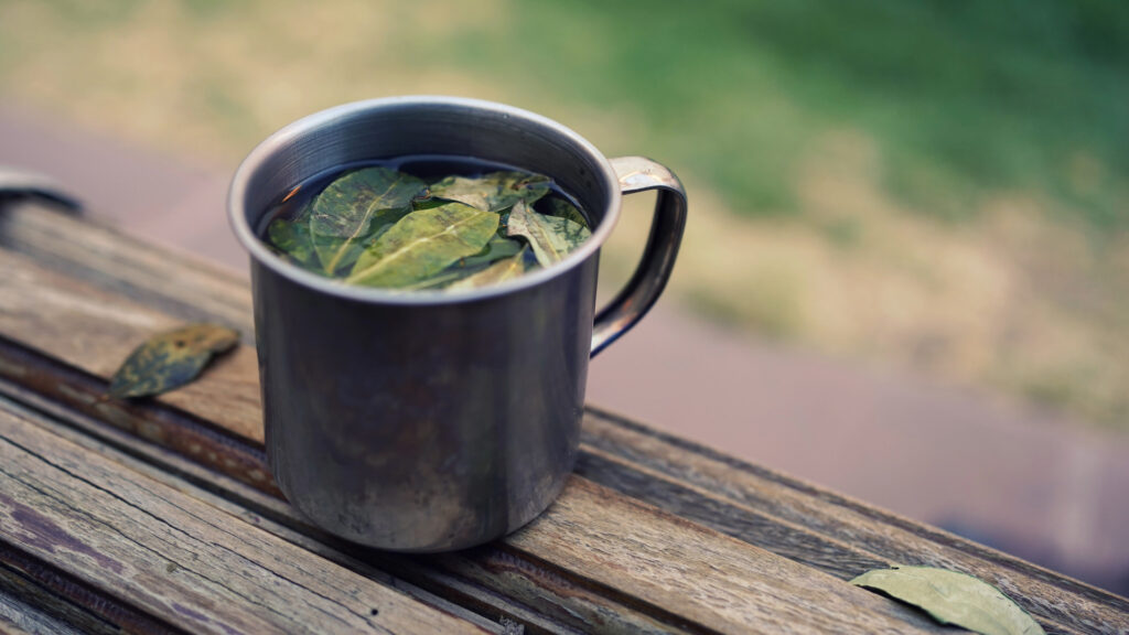 A cup of traditional coca tea (mate de coca) with fresh coca leaves, a natural Andean remedy to help prevent altitude sickness - Authentic Incan Adventures